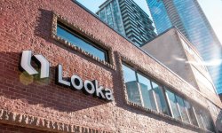 Кейс Looka.com: как ошибка SEO-специалиста привела к краху компании