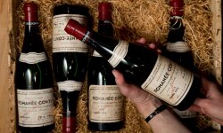 Кейс Wine-Searcher.com: как сайт по продаже вина 🍷 наращивает ссылочную массу